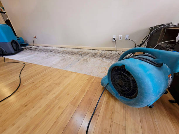 Professional Basement Flood Cleanup technician working in White City, OR